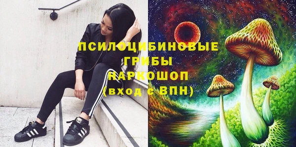МДПВ Алексеевка