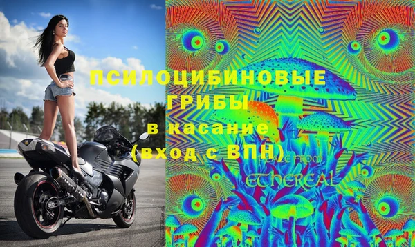 МДПВ Алексеевка